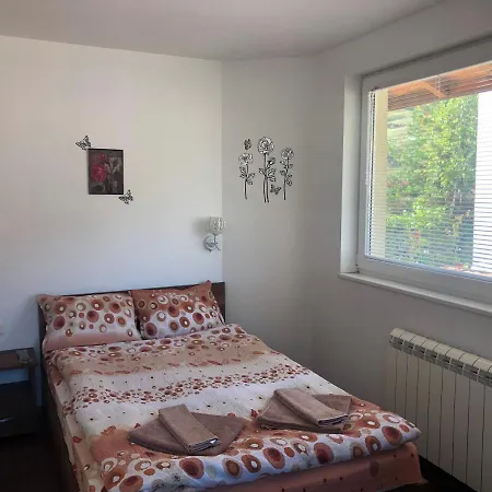 Guest house радина *